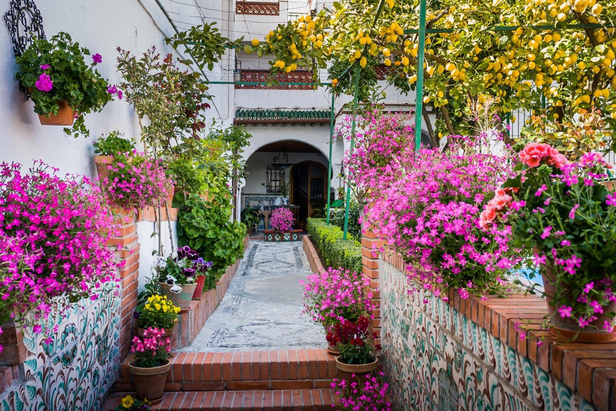 Grazaries -piso Centrico Granada- Appartement *